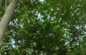 Erol Yılmaz – ŞEİRLƏR