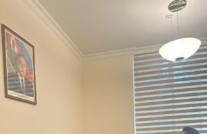 Komitə sədrindən növbəti qəbul – FOTOLAR