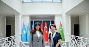 Türk Mədəniyyəti və İrsi Fondunun prezidenti Azərbaycanın Macarıstanda yeni təyin olunmuş səfiri ilə görüşüb