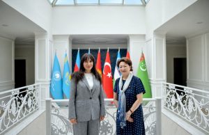 Türk Mədəniyyəti və İrsi Fondunun prezidenti Azərbaycanın Macarıstanda yeni təyin olunmuş səfiri ilə görüşüb